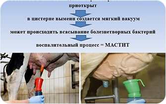 Слайдер 1