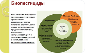 Пример Томский Управление_7