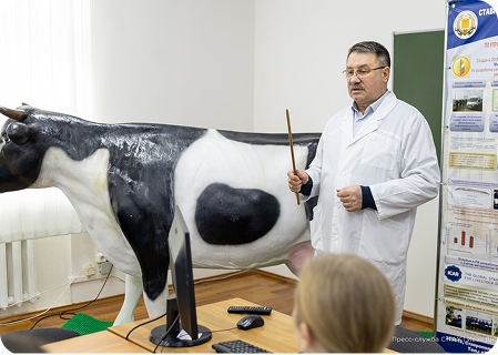 Мастер-классы от лучших специалистов региона