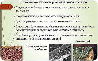 Пример Томский Управление_6