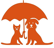 Кот и пёс