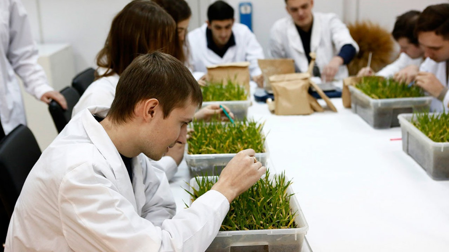 Основы агрономии. Инновационные технологии производства продукции растениеводства