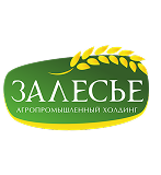 Залесье