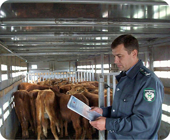 Сотрудники ветеринарных служб и надзорных органов
