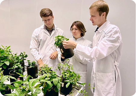 Научная и исследовательская работа