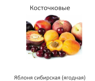 Примеры Липецк Основы агрономии_6