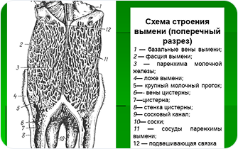 Слайдер3