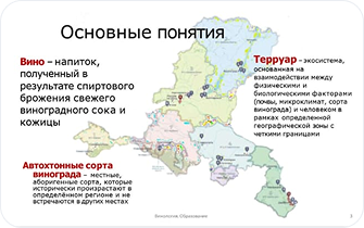 основные понятия