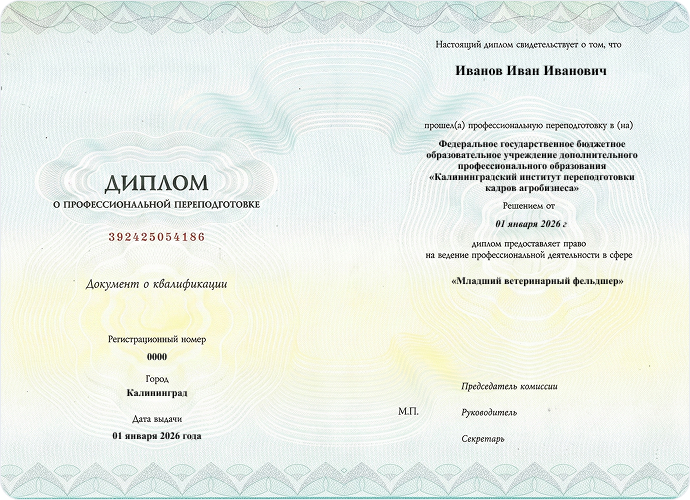 Диплом о профессиональной переподготовке 
