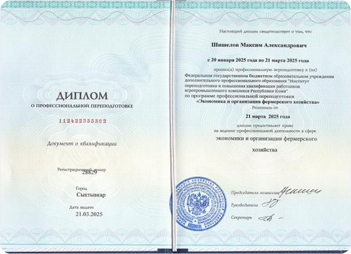 Диплом о профессиональной переподготовке (КОМИ)