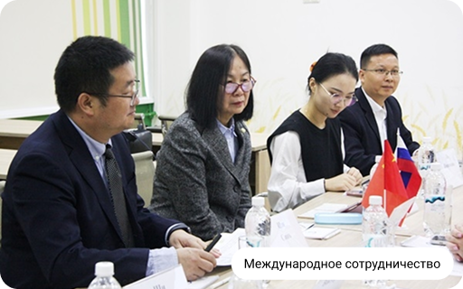 Международное сотрудничество