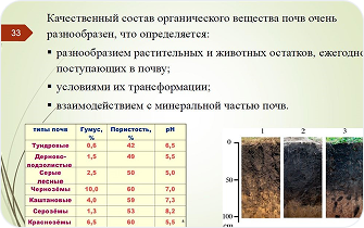 Пример Томский Управление_1