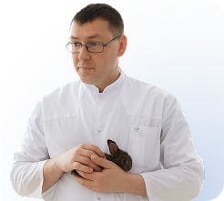 1,8 тыс. студентов