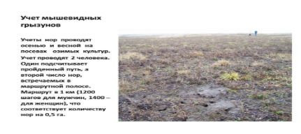 Примеры Липецк Основы агрономии_2
