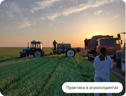 Практика в агрохолдингах