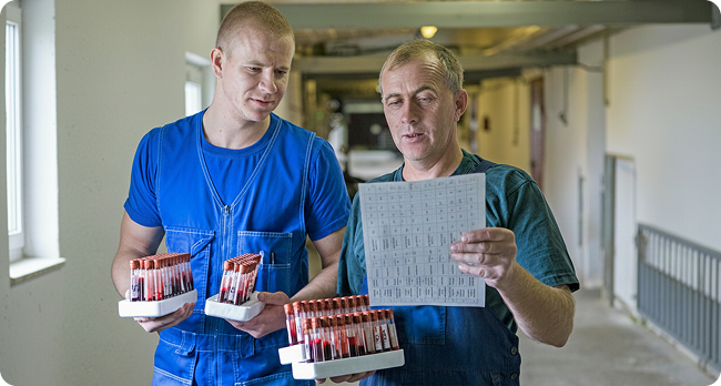 Организация и Цифровизация