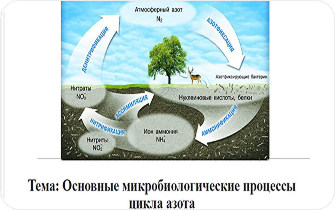 Пример Томский Управление_8