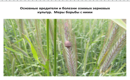 Примеры Липецк Основы агрономии_1
