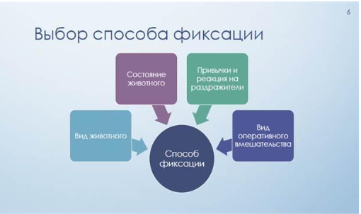 вет фельдшер_4