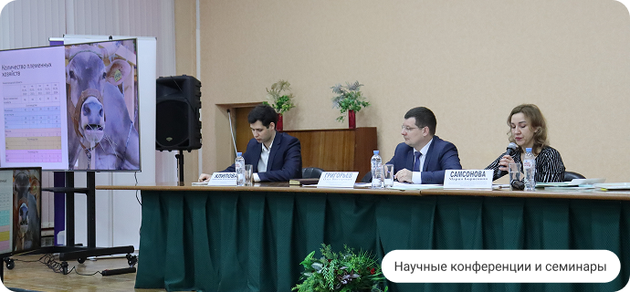 Научные конференции и семинары
