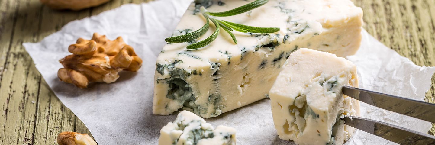 Что такое тающий сыр  объясни. Польза сыра с плесенью для организма