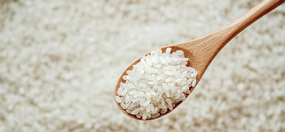 Что показало новое исследование риса?