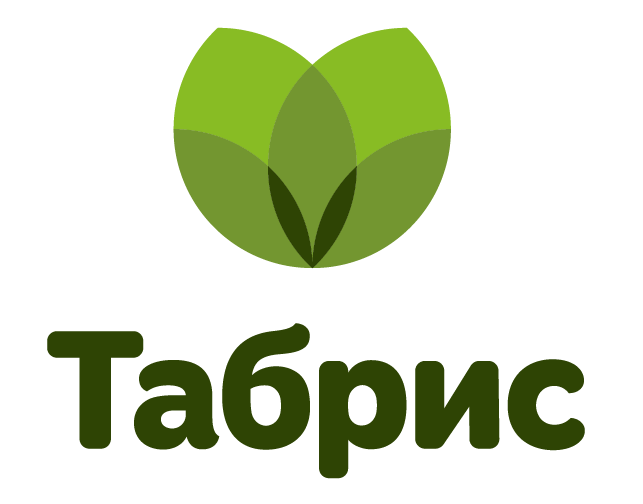 Табрис
