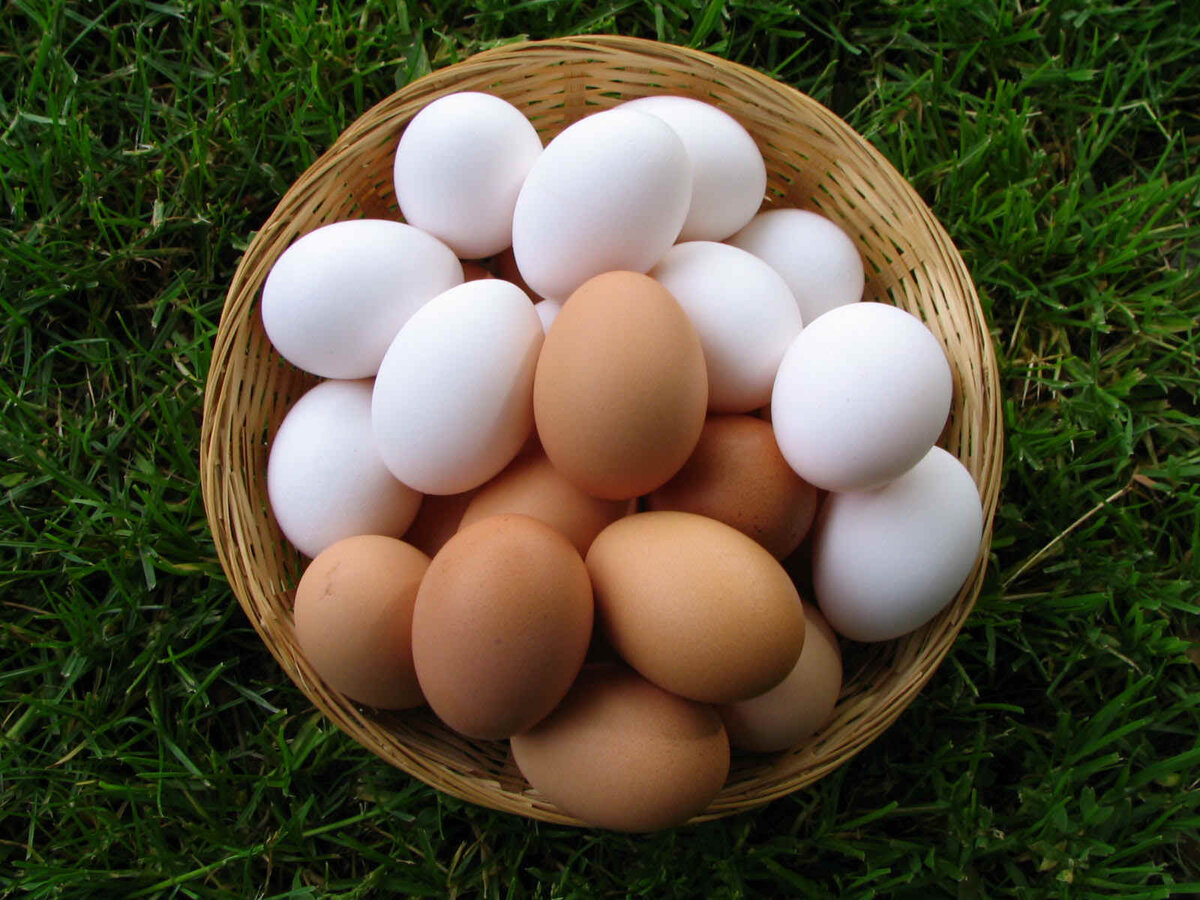 Почему многие не выливают воду, в которой варились яйца
