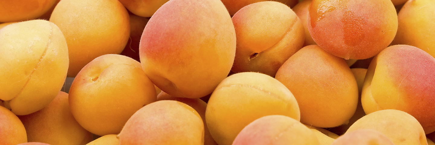 Как выбрать сладкие и спелые абрикосы?