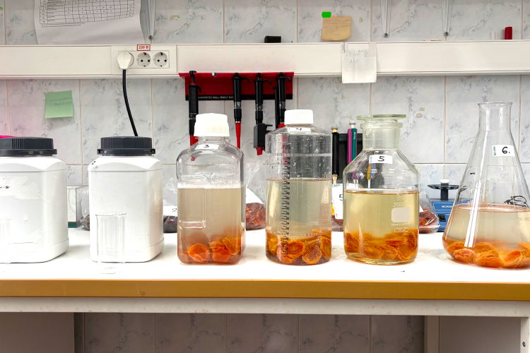 Пена на третьем образце