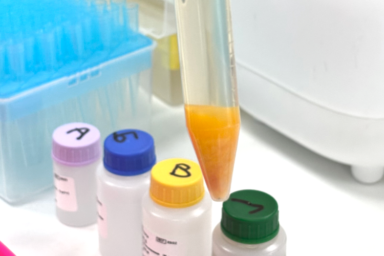 Раствор с пюре