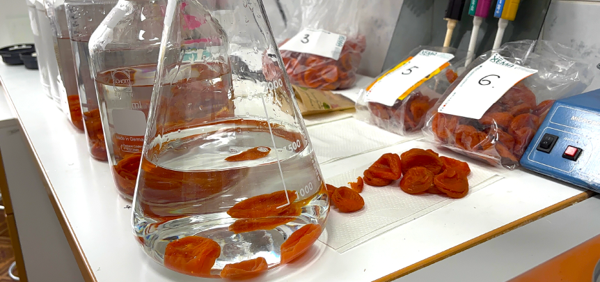 первичное замачивание