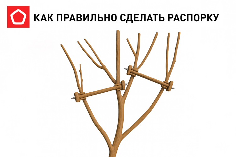 распорка для веток распорка для веток