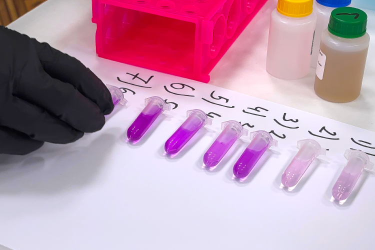 первый результат