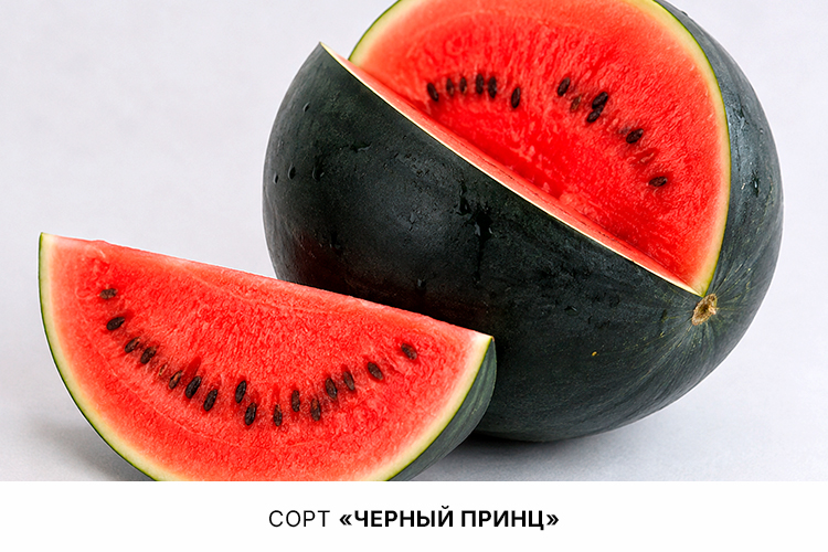 Черный-принц.jpg Черный-принц.jpg