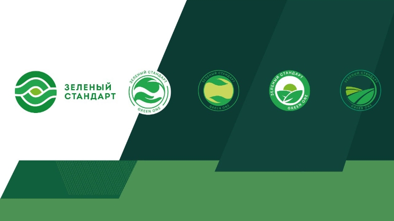 логотипы зеленого бренда.jpg