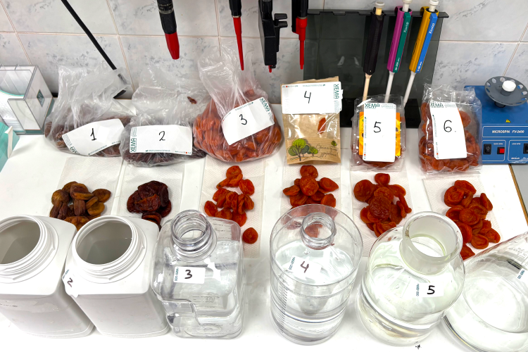 первый этап