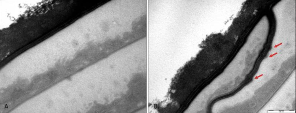 Снимок экрана 2025-11-03 в 17.10.44.png