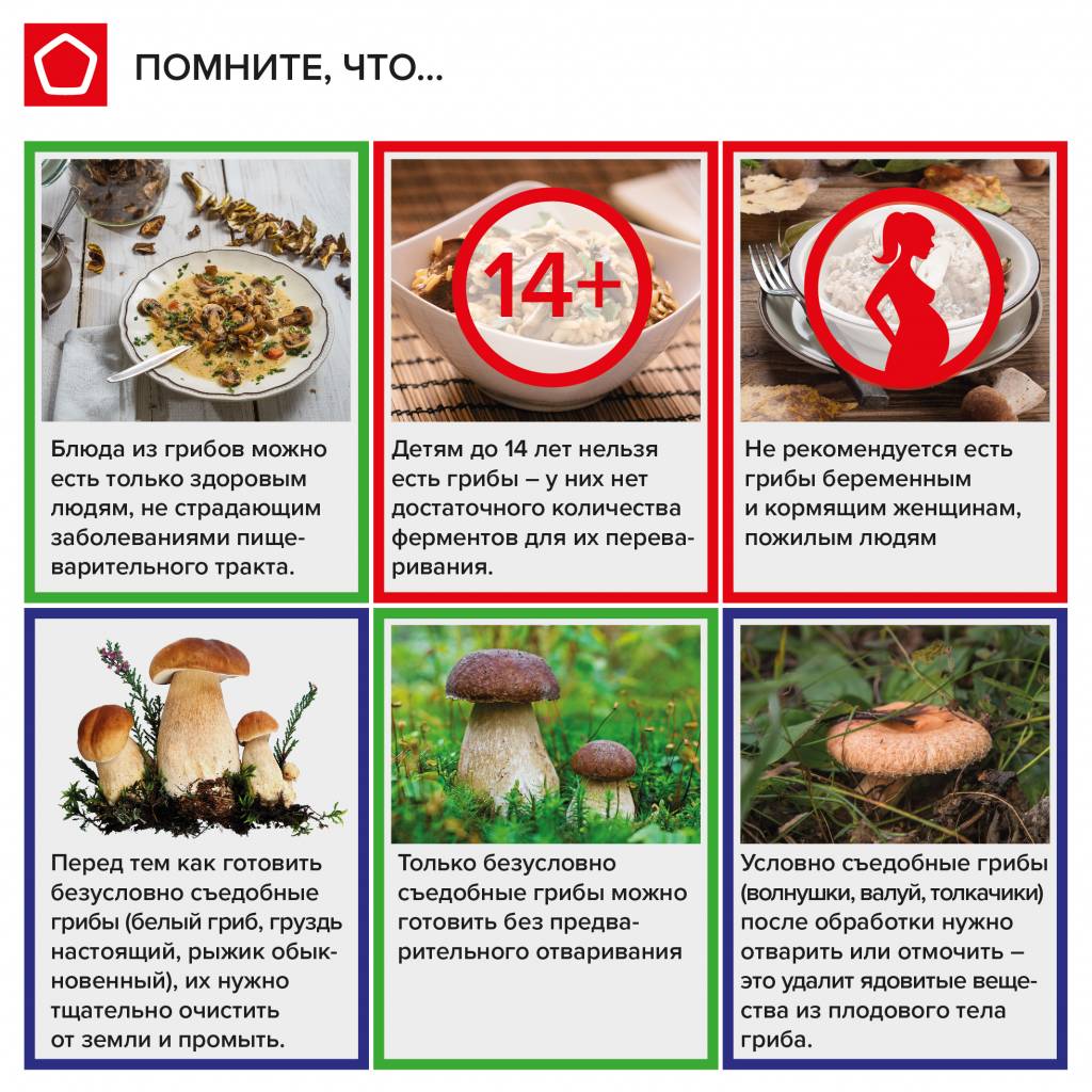 Mushrooms memo sheet-01.jpg
