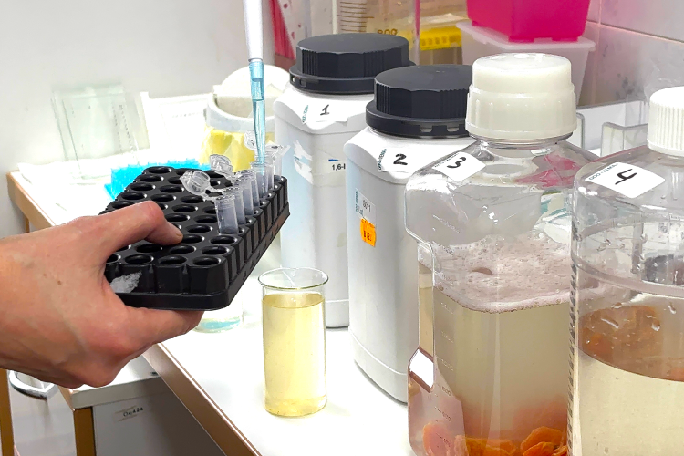 Берем пробы