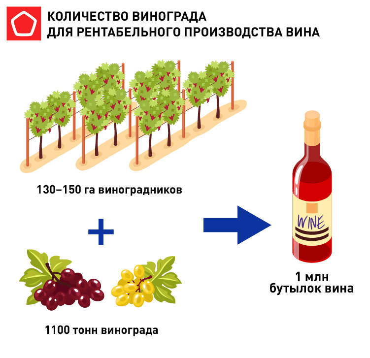 7143_rskrf инфографика 2 визуала винный завод_5.jpg