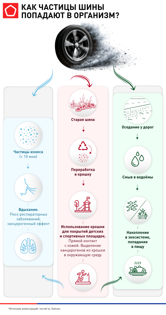 Инфографика_путь шины