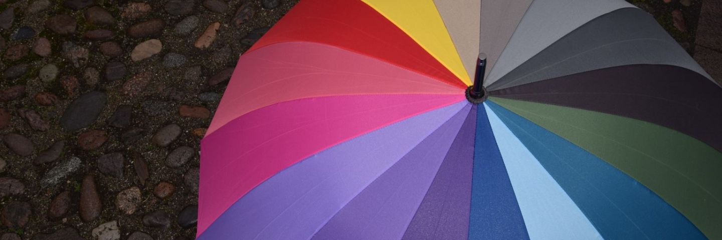 Купить зонты и зонтики онлайн и в магазинах Москвы, Санкт-Петербурга с доставкой или самовывозом