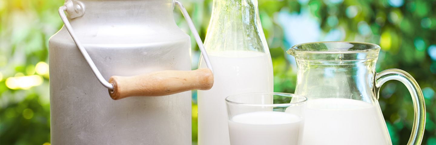 Правильное молоко масло. Молоко. Помогает ли молоко от ядохимикатов. Ученые развенчали. Миф р молоке. Женщин ставят молоко.