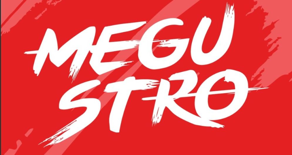 Гастрономический фестиваль MEGUSTRO (Санкт - Петербург)