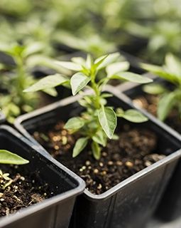 Новости от Роскачества